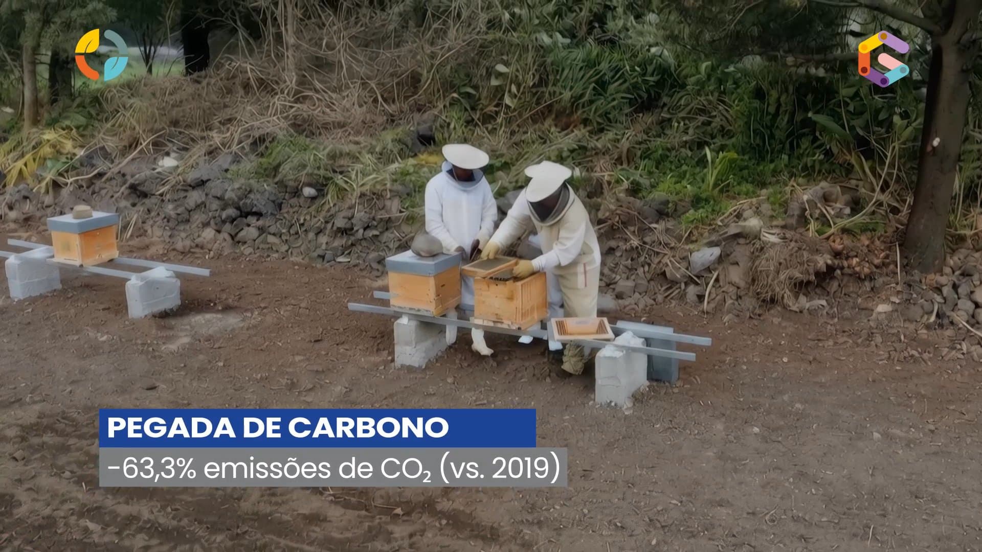 Euroscut Azores Trailer