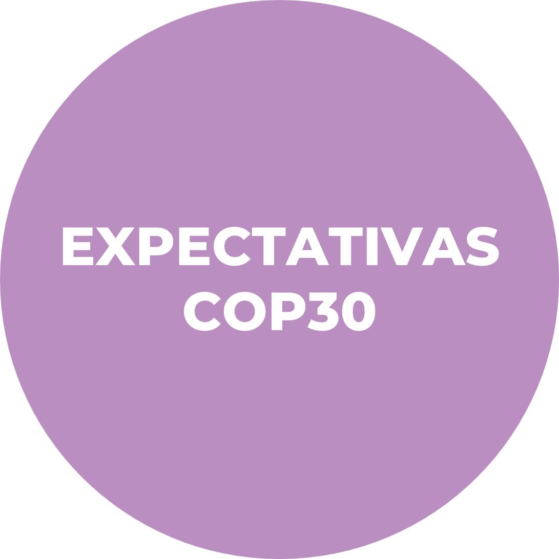 Pedro Barata Chronicles - Ep.3