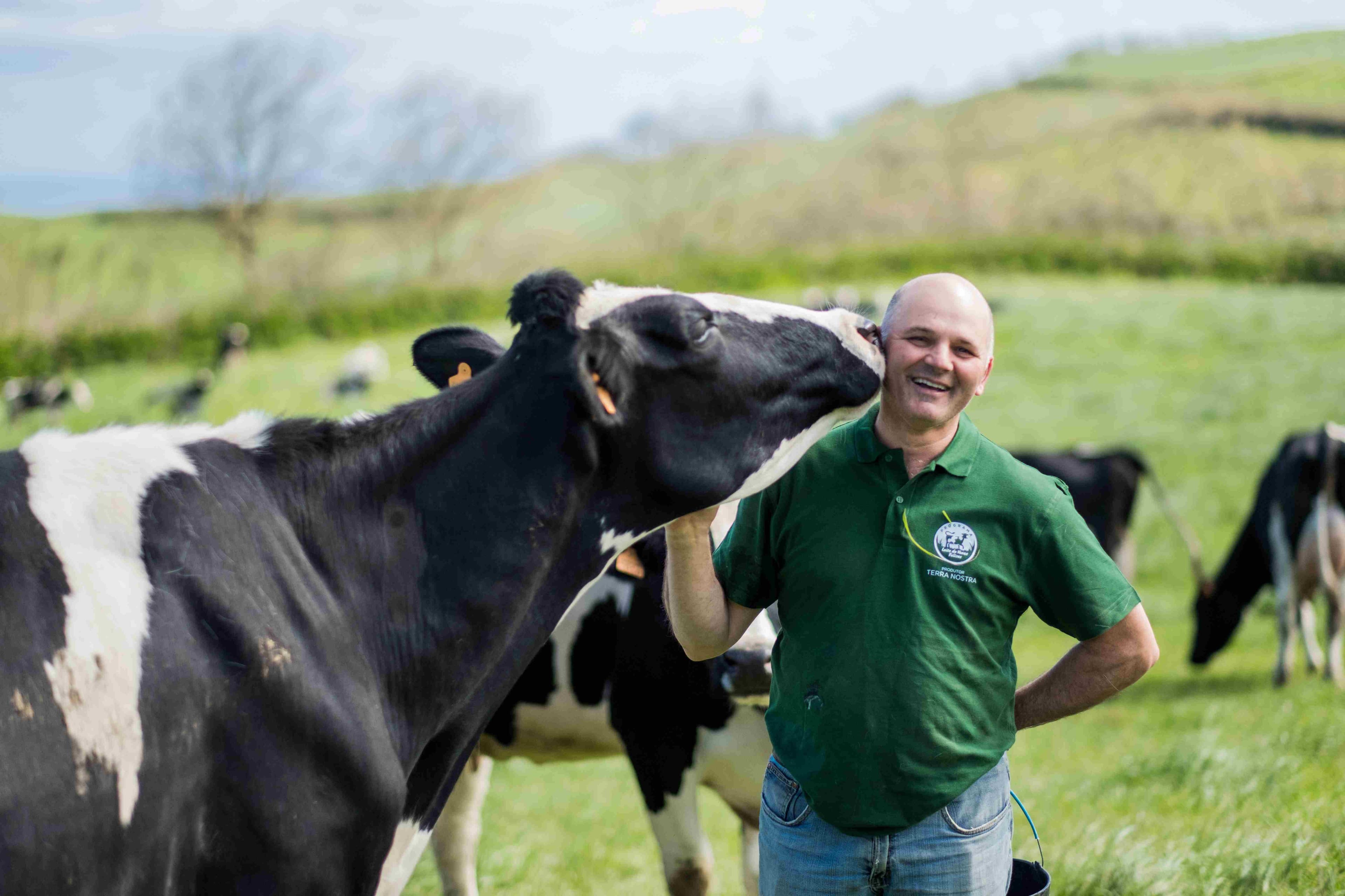 Programa Leite de Vacas Felizes