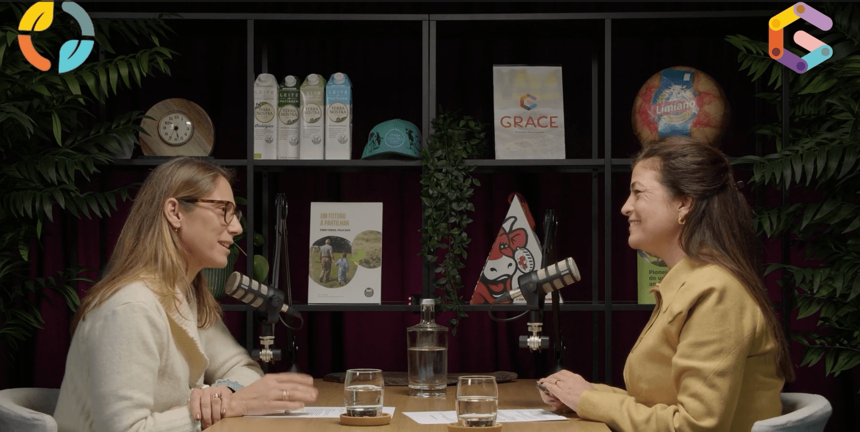 Programa Leite de Vacas Felizes 