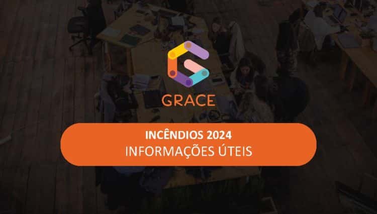 Imagem noticia Incêndios 2024 GRACE