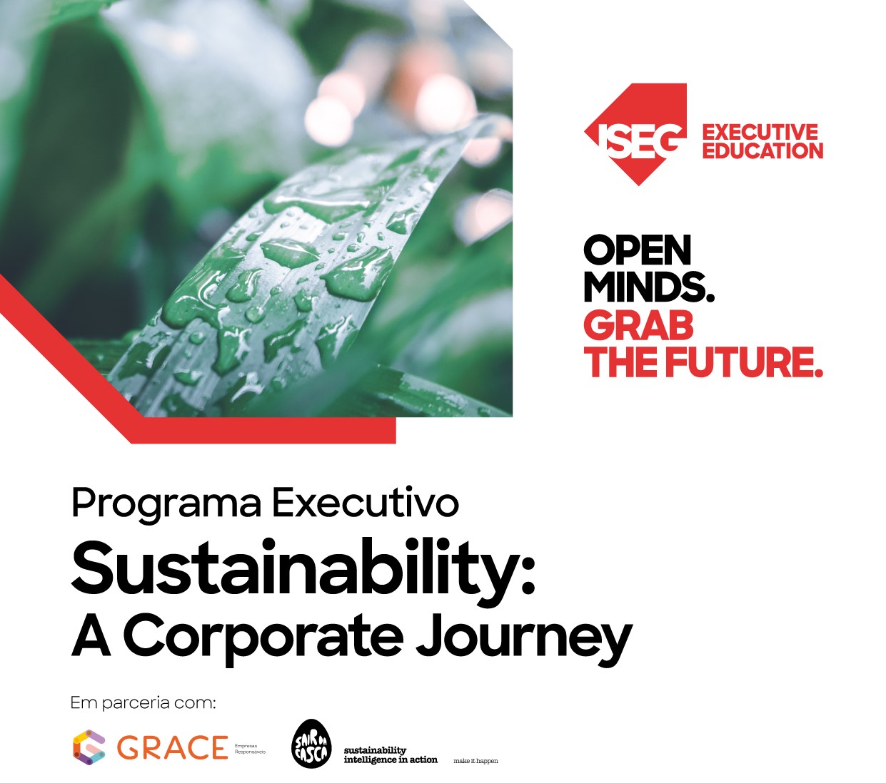 Sustainability: A Corporate Journey, Estratégias para Empresas Responsáveis. Inscrições abertas!