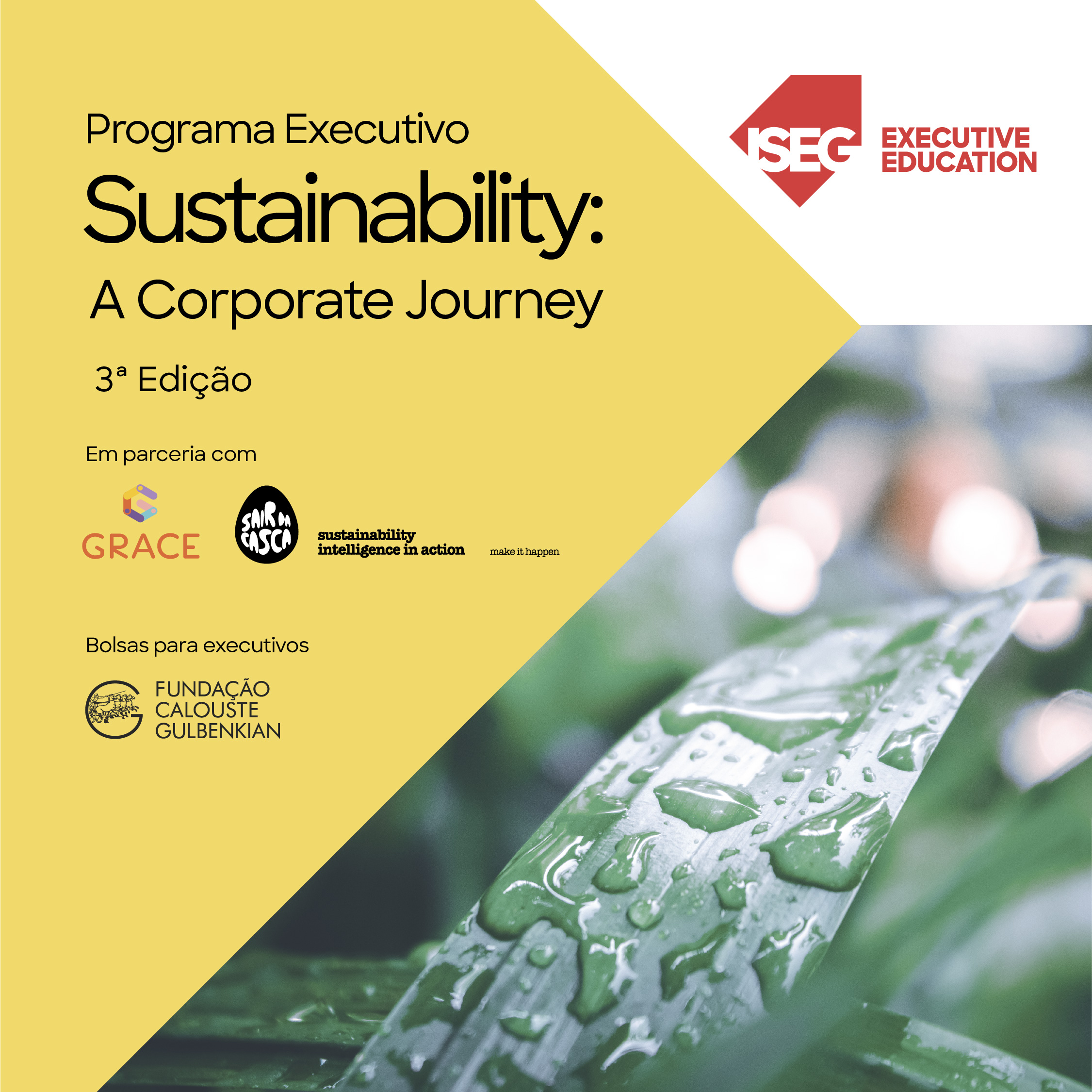 Inscrições abertas | 3ª edição ‘Sustainability – A Corporate Journey’