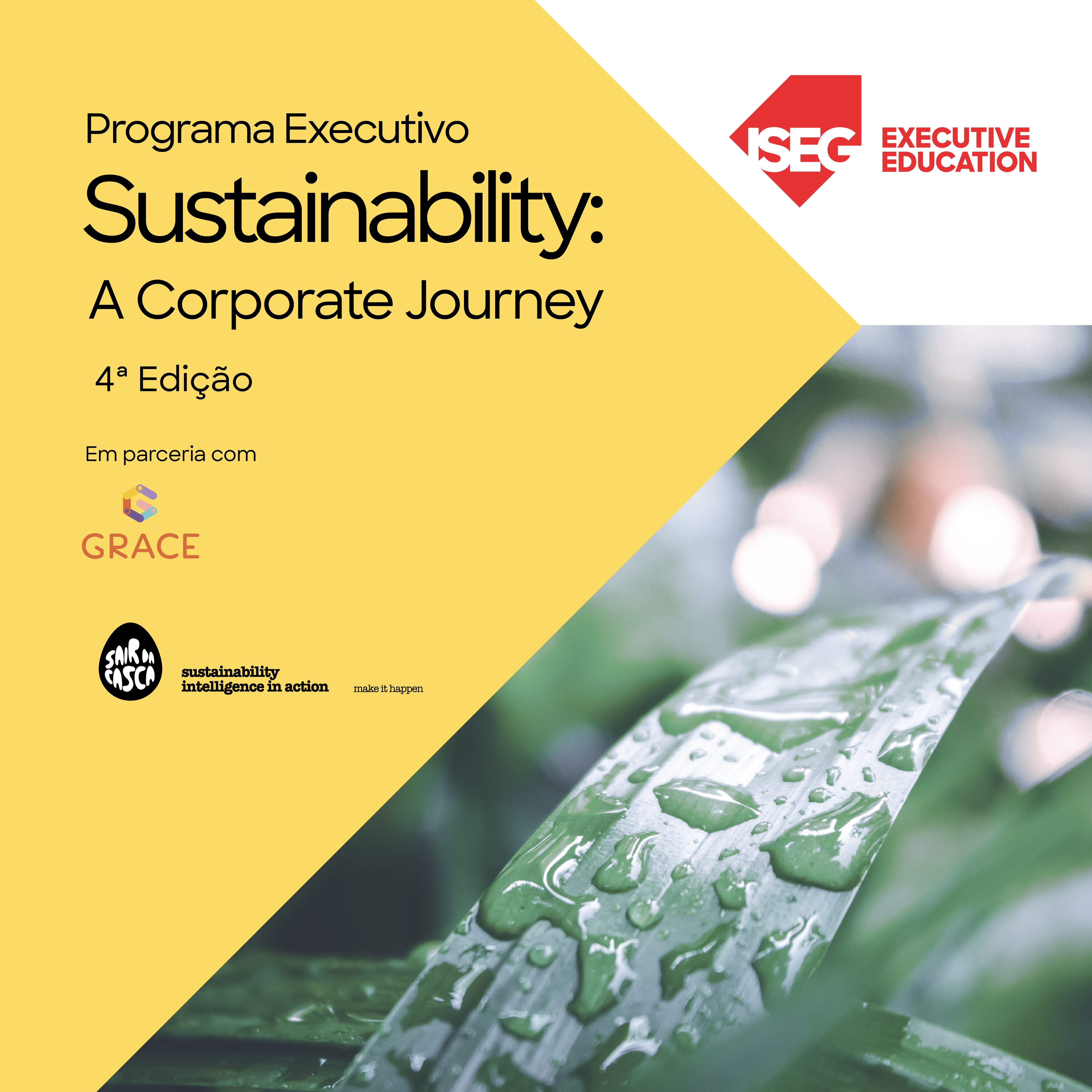 SUSTAINABILITY  – A CORPORATE JOURNEY