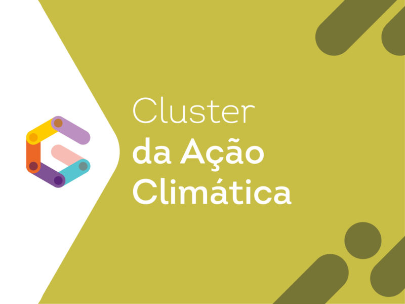 CLUSTER DA AÇÃO CLIMÁTICA
